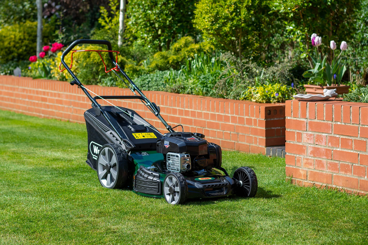 Webb Supreme WER21HW4 53cm (21″) Petrol Self Propelled Rotary Lawnmower - view 3